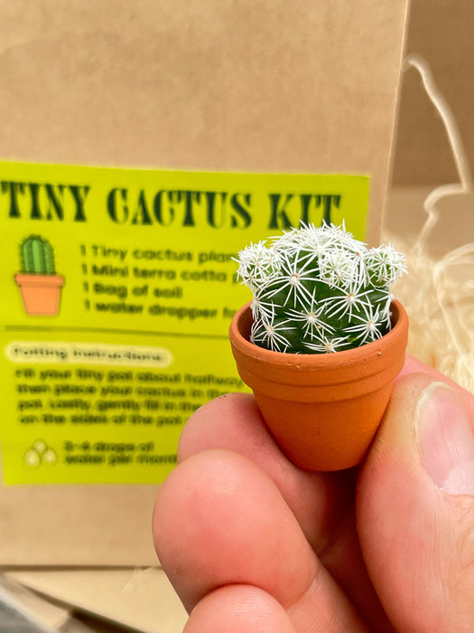 Tiny Cactus Kit - 5 PACK