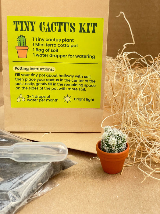 Tiny Cactus Kit - 5 PACK