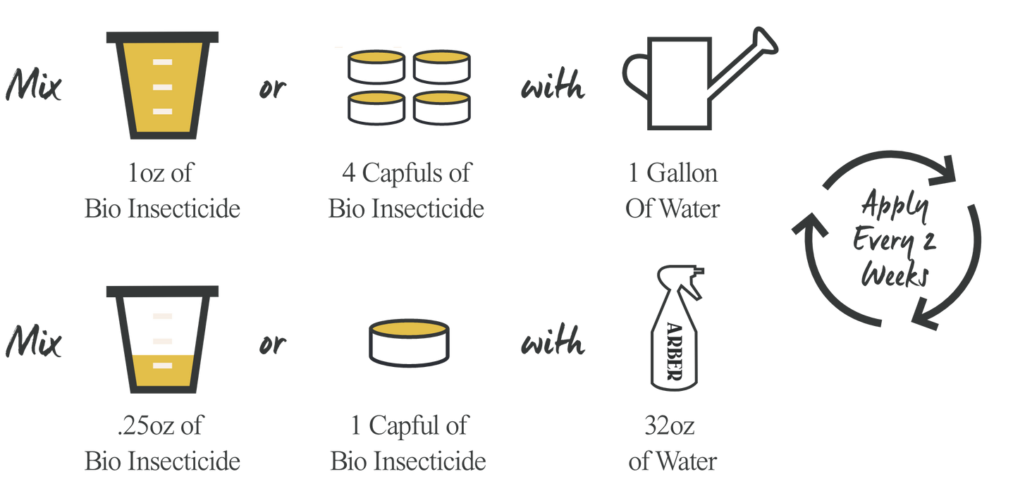 Organic Bio Insecticide - Arber
