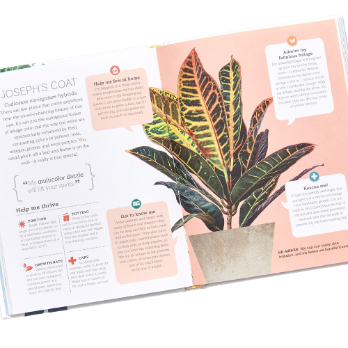 Book - My Houseplant Changed My Life