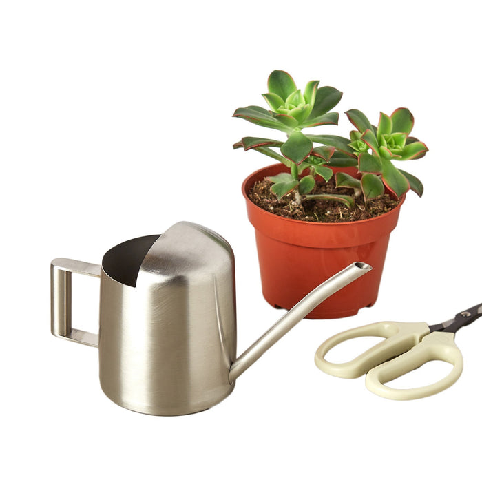 Small Stainless Steel Watering Can