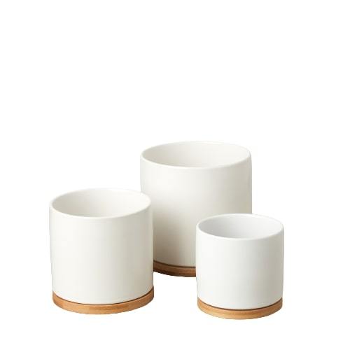 White Cylinder Pots with Wood Saucers - Set of 3