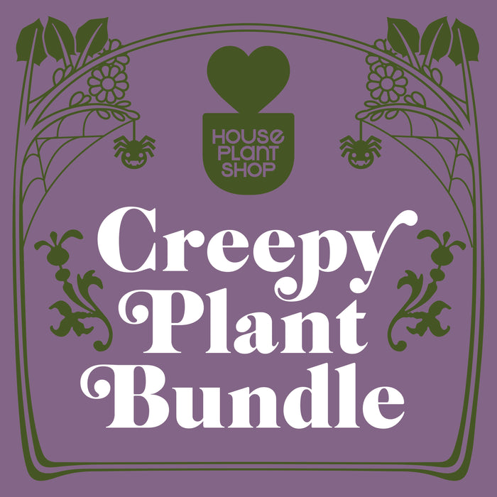 Creepy Plant Bundle